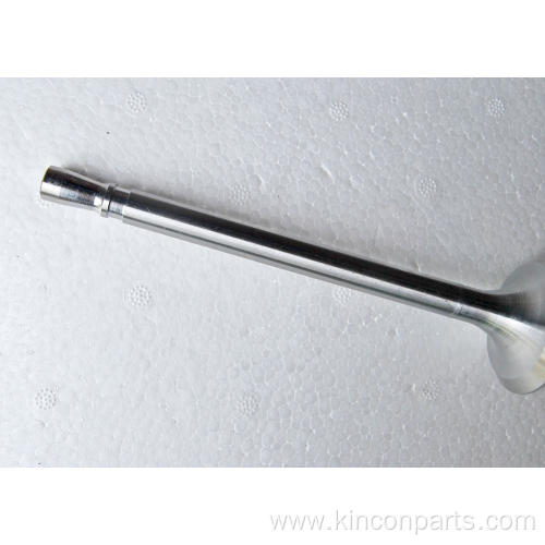 Engine Valves 4115TA